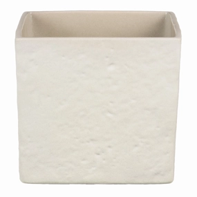 Beige Sqaure Indoor Ceramic Cover Pot Creme Stone (970) tall green plant  