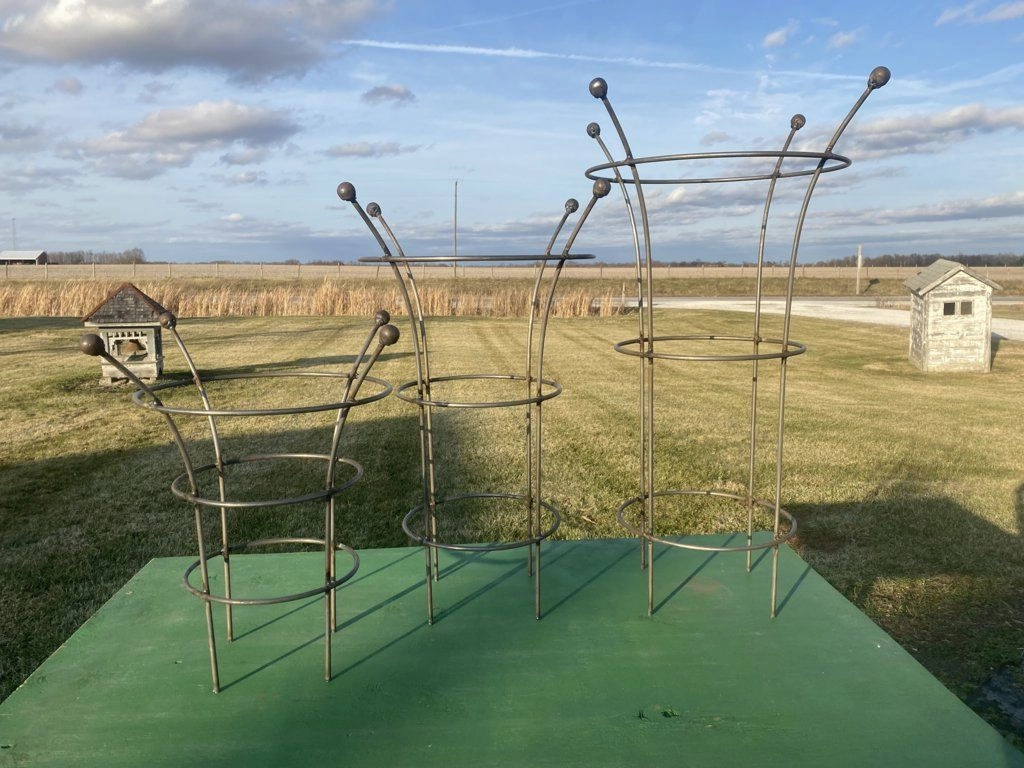 Bella Topiaries Iron Frames Plant Supports