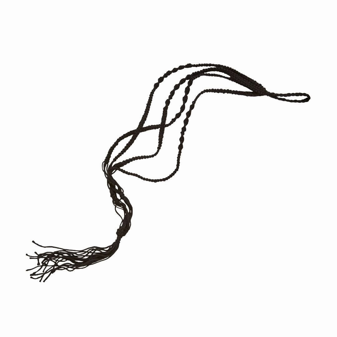 Belle Plant Hanger Black plant seeds  