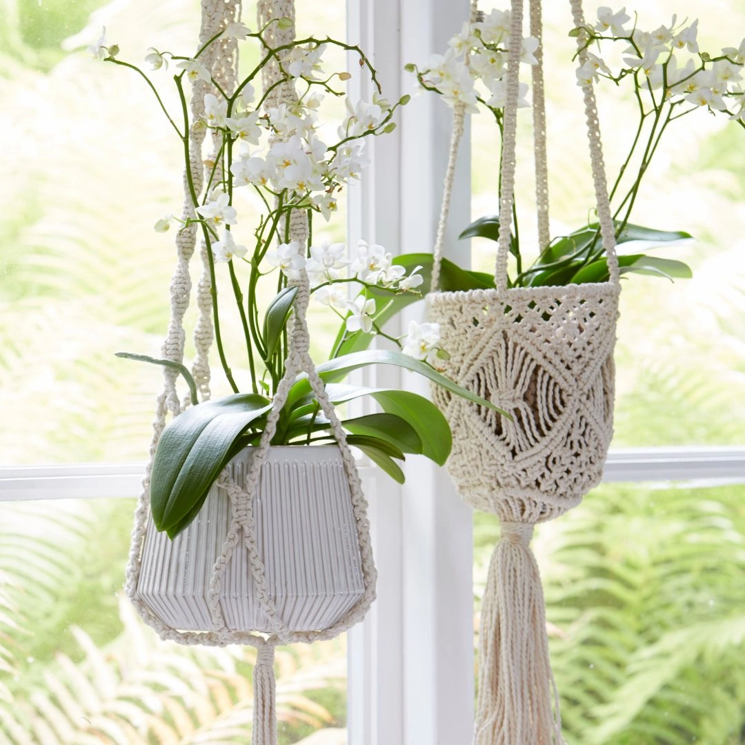 Belle Plant Hanger Off White