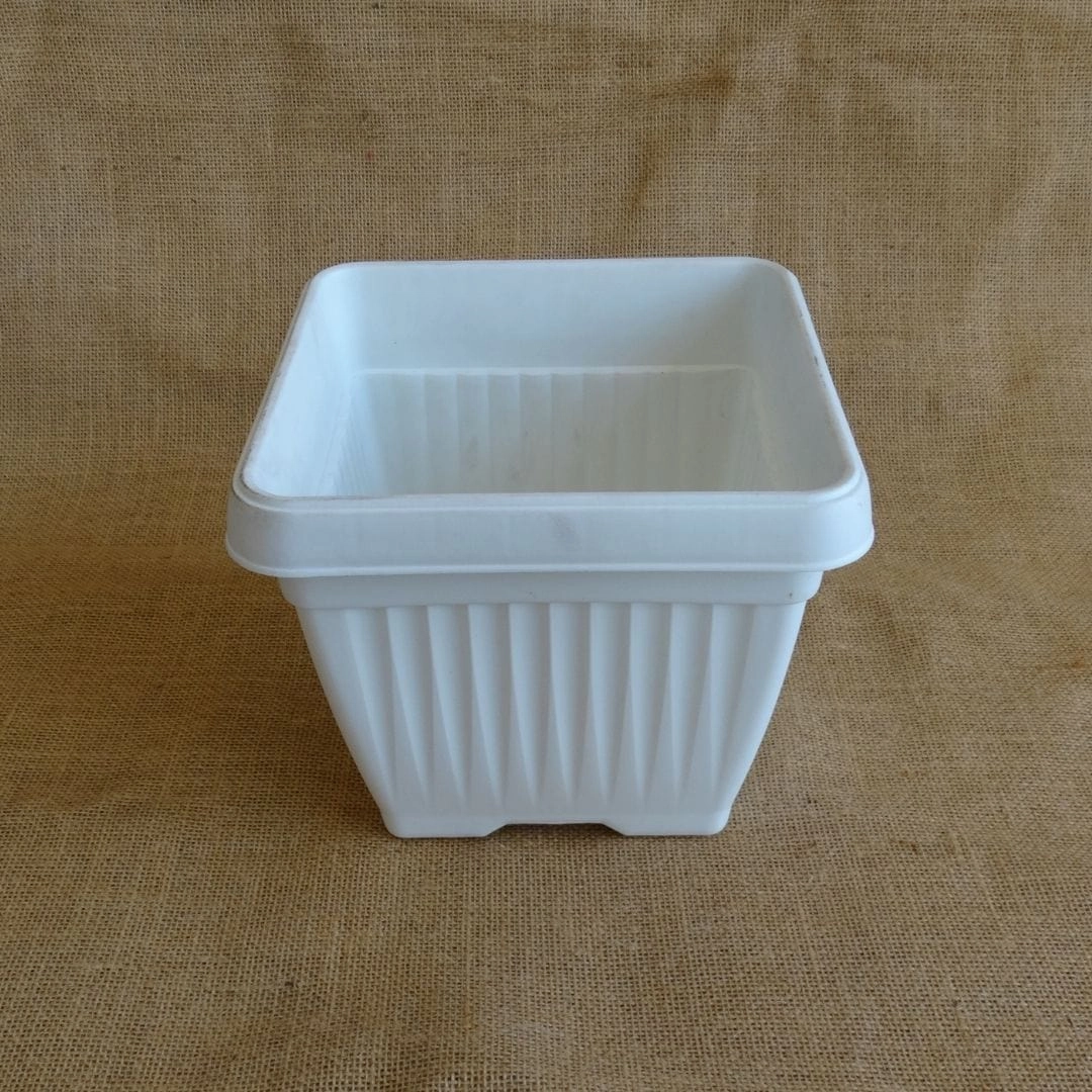 Bello Square Pot, 8 Inch