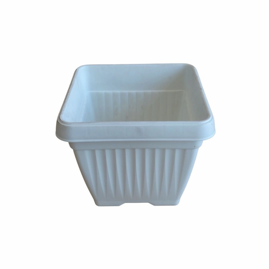Bello Square Pot, 8 Inch