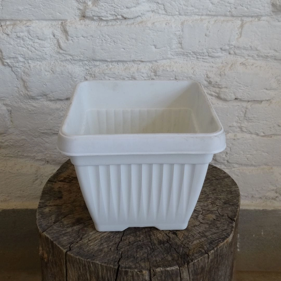 Bello Square Pot, 8 Inch