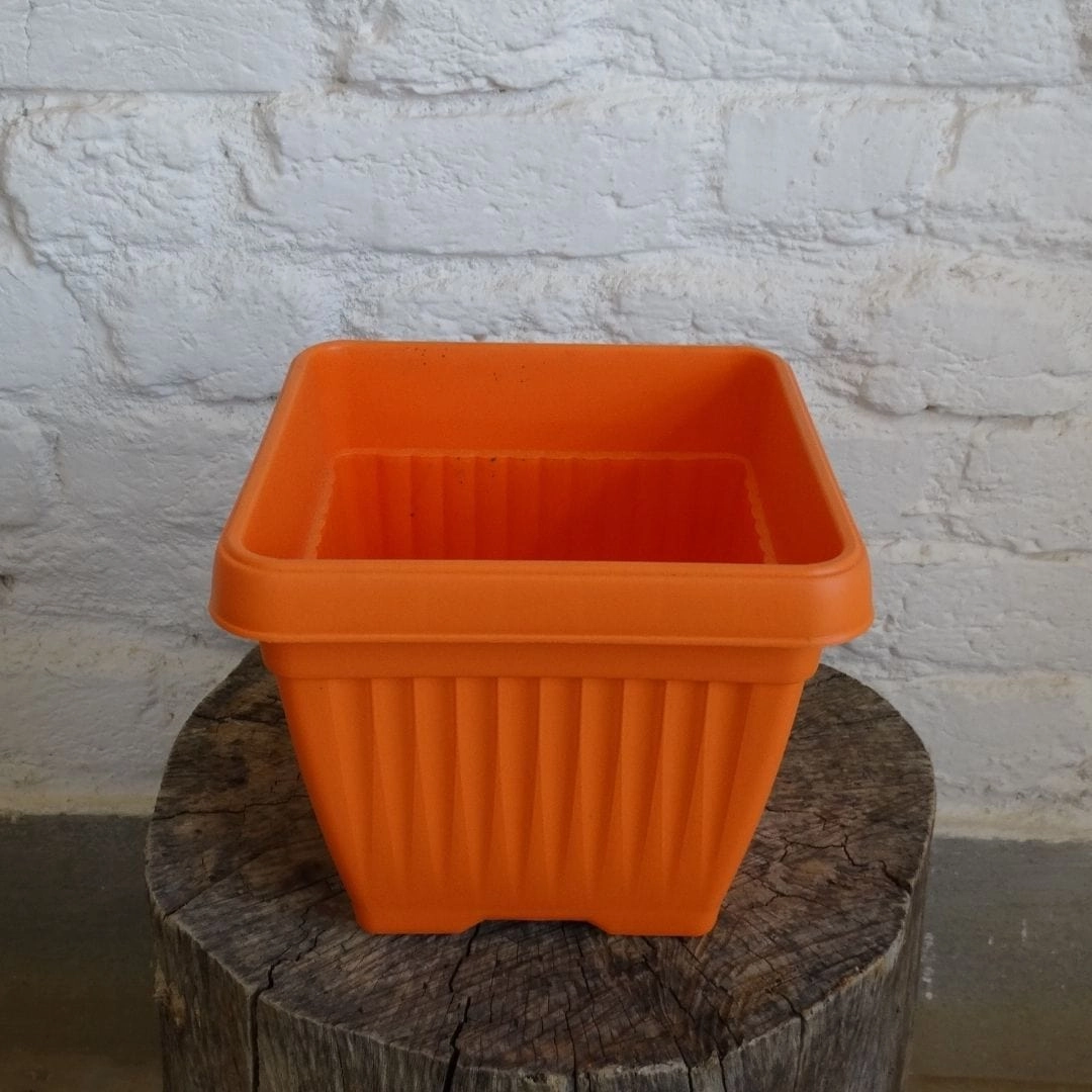 Bello Square Pot, 8 Inch