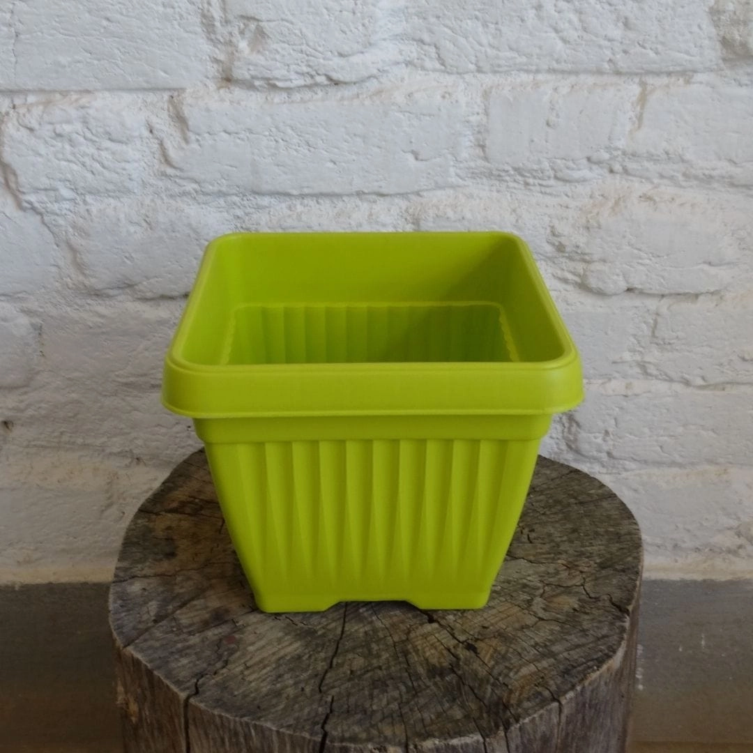 Bello Square Pot, 8 Inch