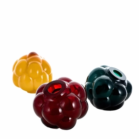Berry Tales - Colors Vases mini ornamental plant  