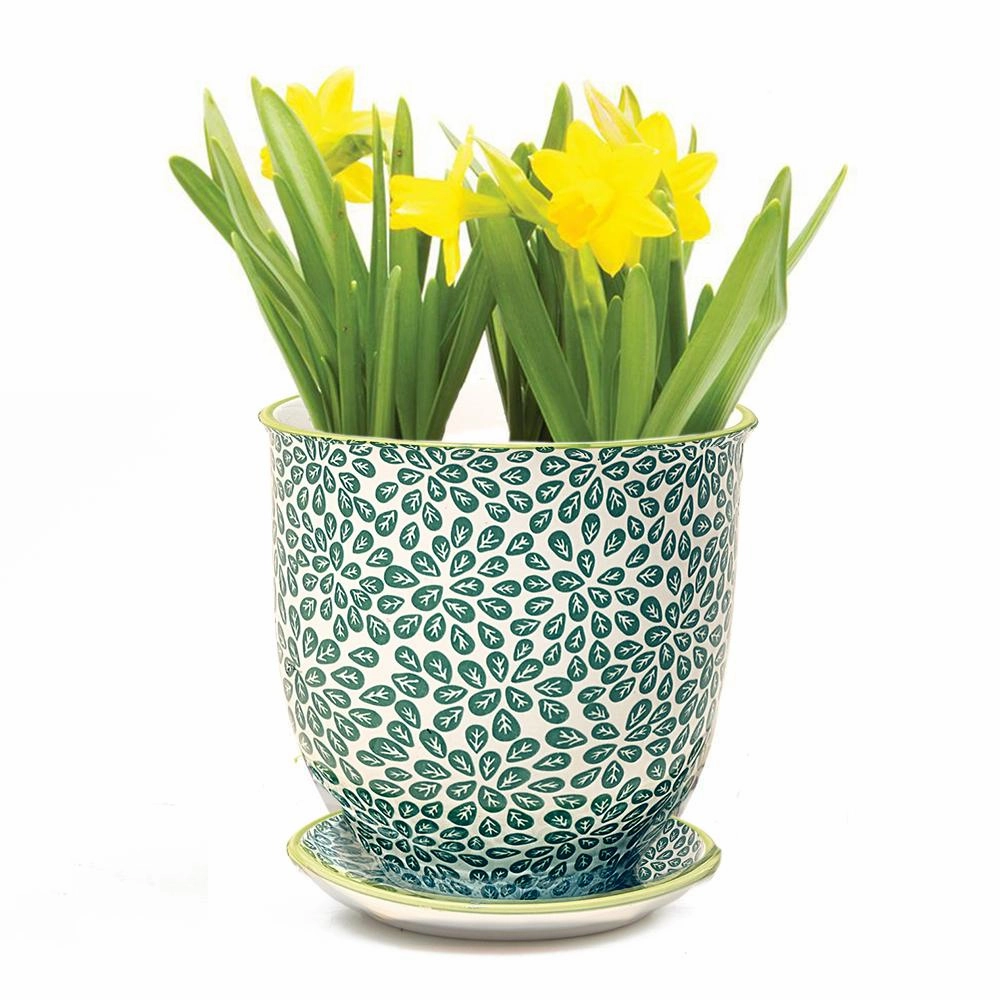 Big Liberte 3 Pot & Saucer