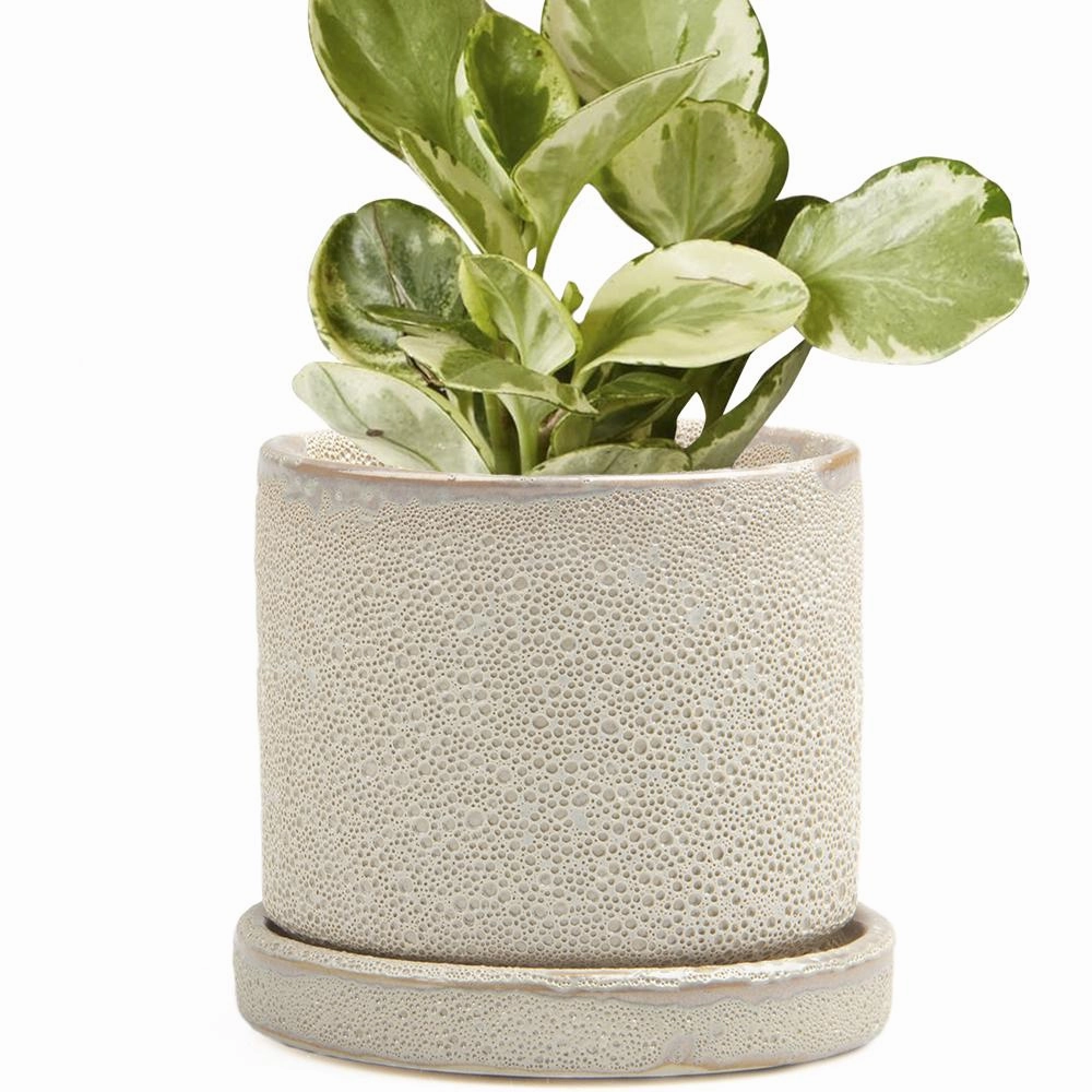 Big Minute Pot & Saucer