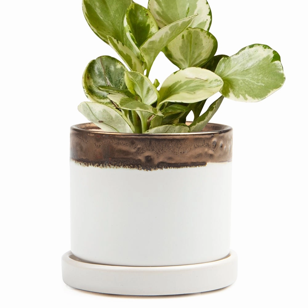 Big Minute Pot & Saucer