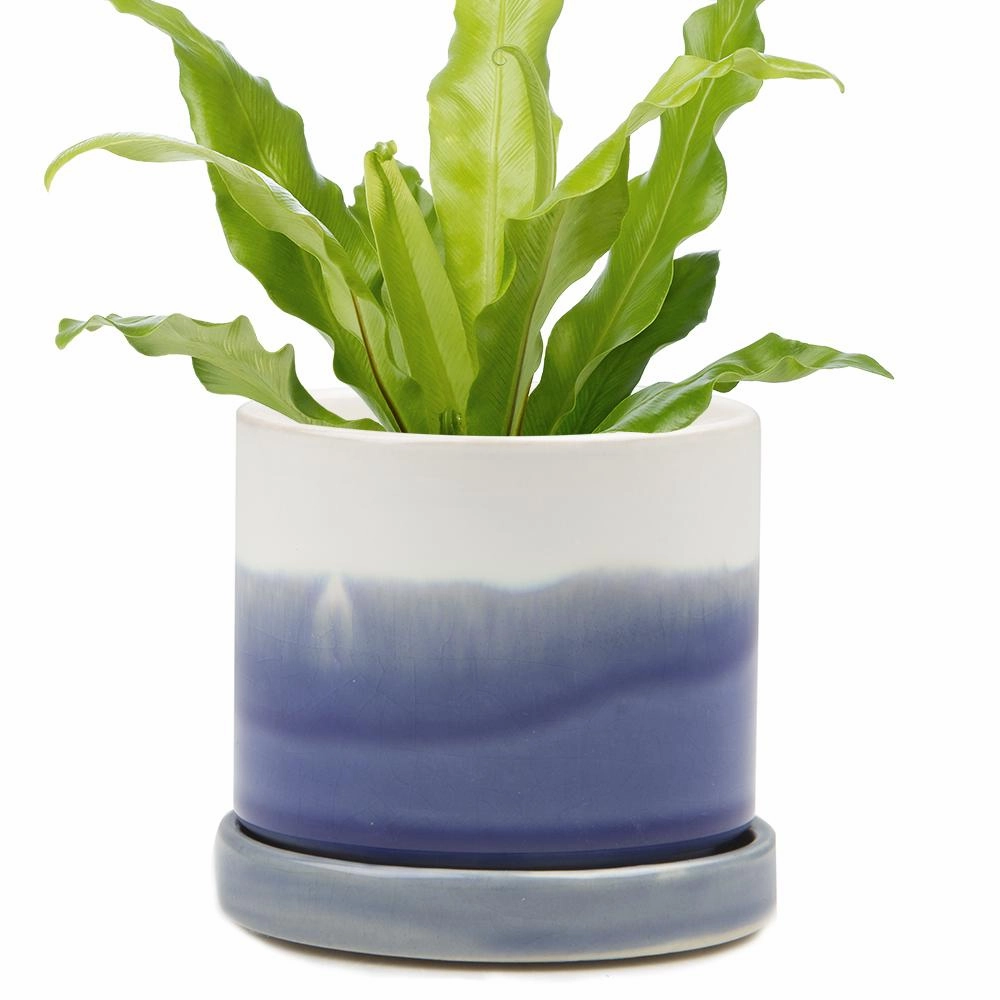 Big Minute Pot & Saucer