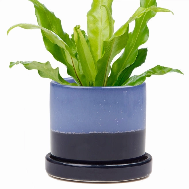 Big Minute Pot & Saucer