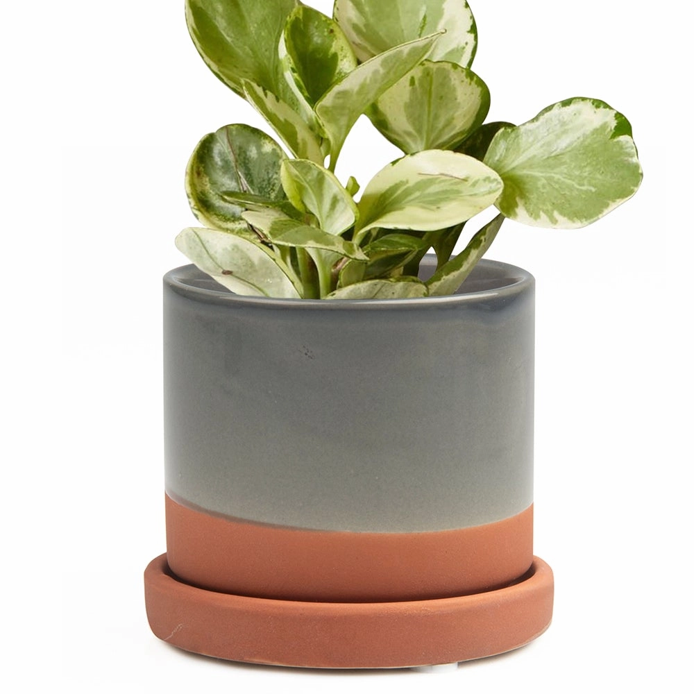 Big Minute Pot & Saucer