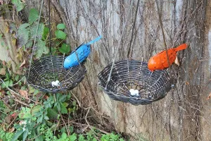 Bird on Nest Hanging decorative plants  