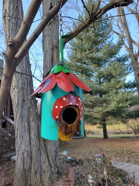 Bird House decorative plants  