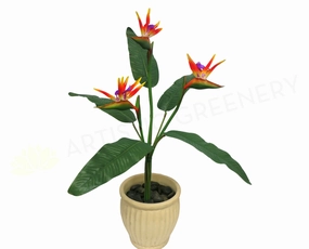 Bird of Paradise Plant Set 90cm - Orange / Red Strelitzia indoor plant stand  