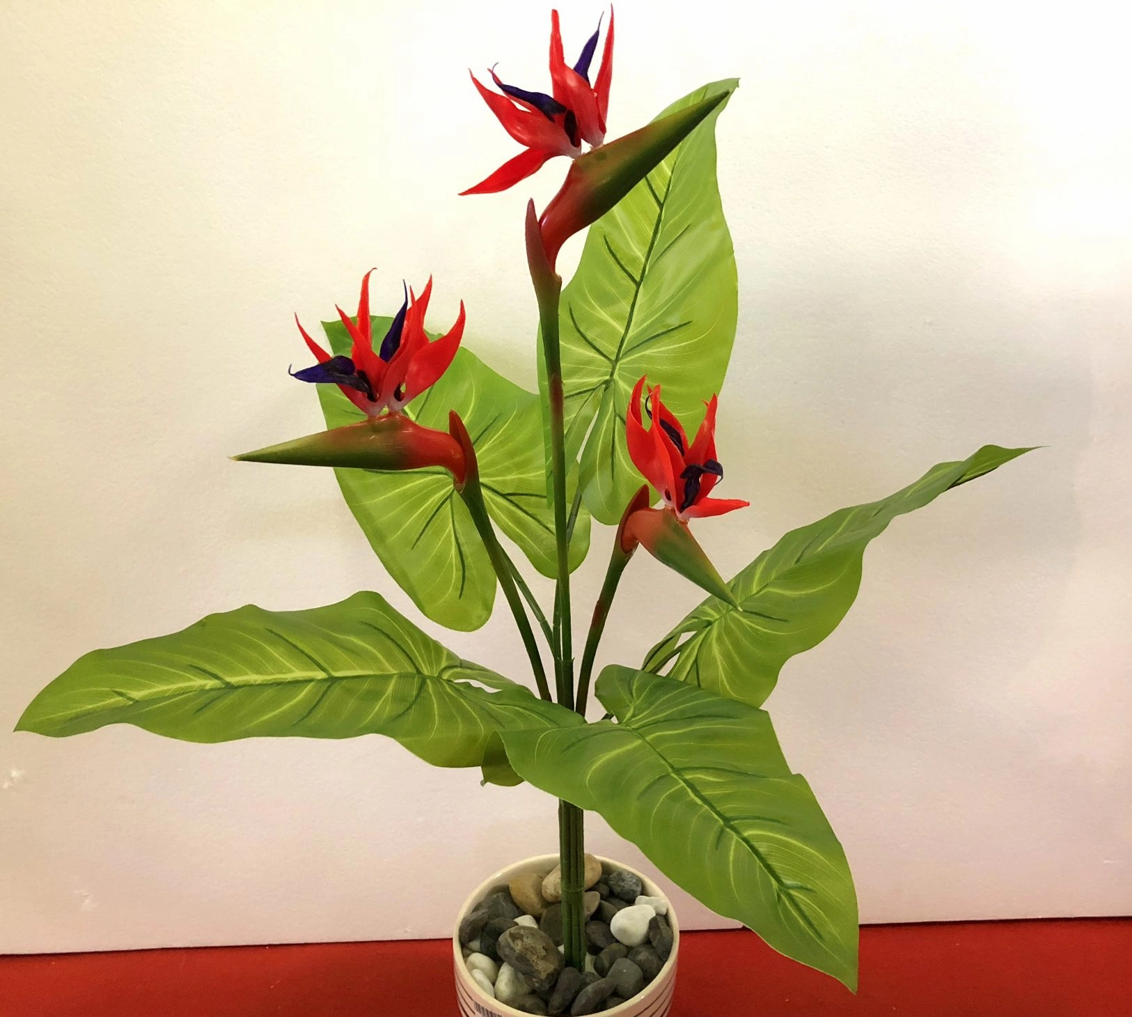 Bird of Paradise Plant Set 90cm - Orange / Red Strelitzia