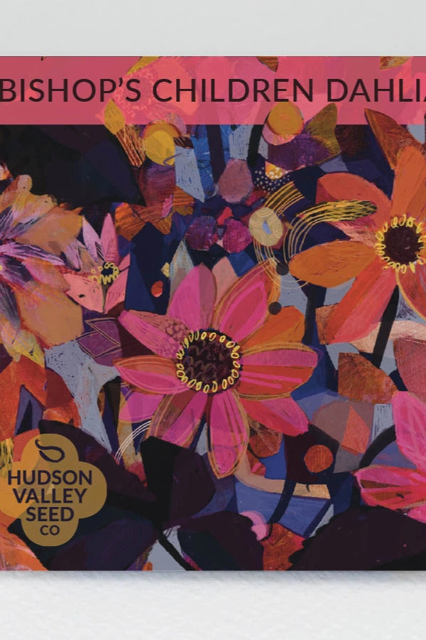 Bishop's Children Dahlia Flower Mix Art Pack Seeds