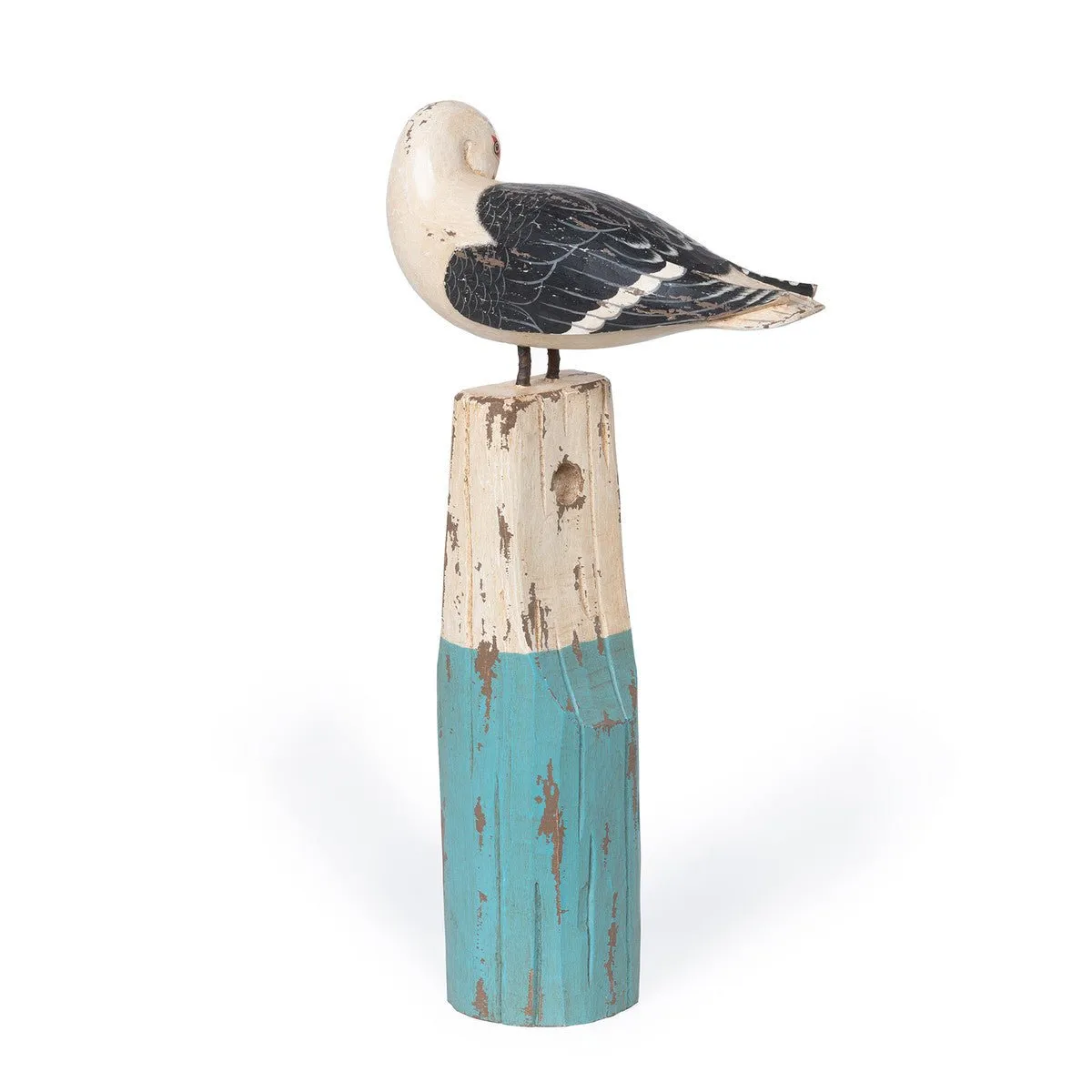 Black Tailed Gull on Buoy
