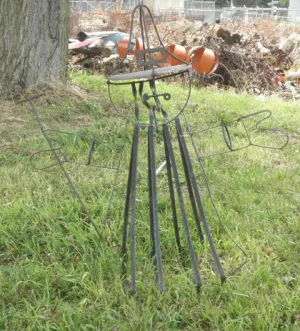 Black Wire Witch decorative plants  