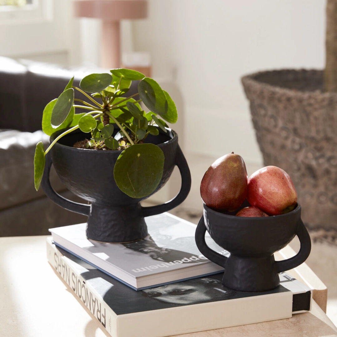 Black Footed Compote outdoor greenery  