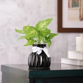 Black WaveCera Vase small outdoor greenery  