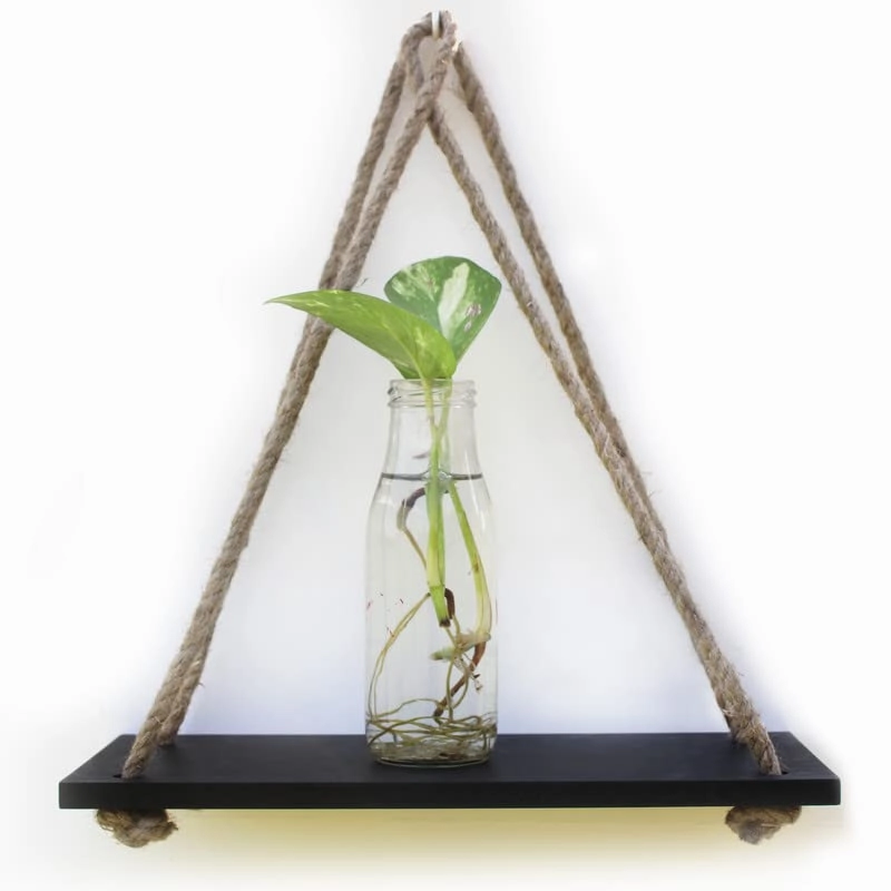 Black Wood 1 Layer Wall Floating Wall Shelf With Rope cactus succulent plant  