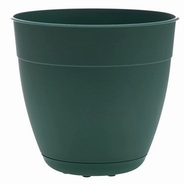 Bloem 12" Dayton Planter - Turtle Green plant seeds  