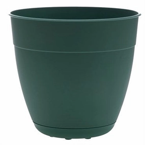Bloem 12" Dayton Planter - Turtle Green plant seeds  