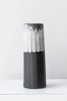 Bloom Vase Night Snow dried green plant  