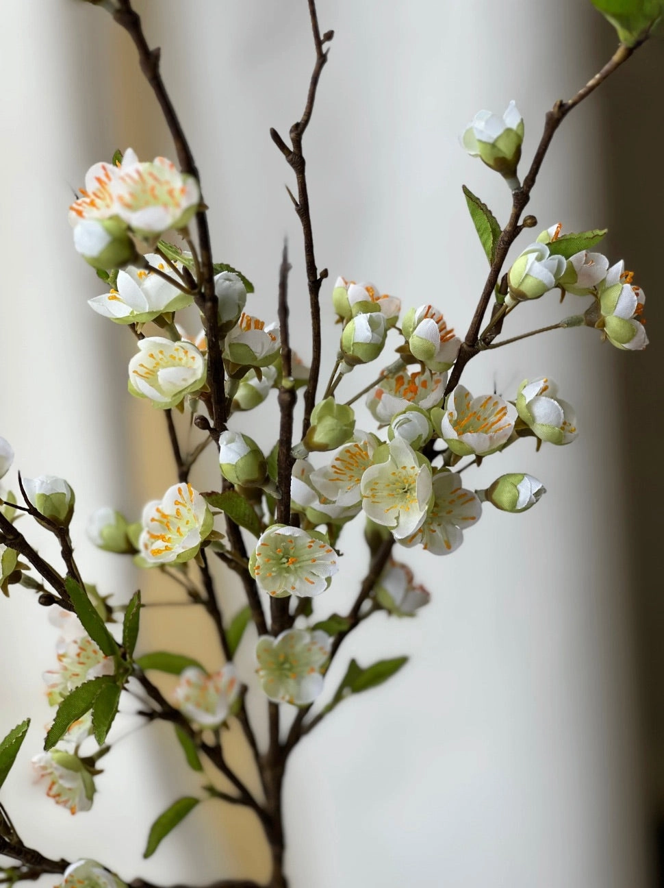 Bloomerie Bough
