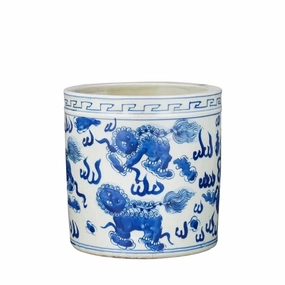 Blue And White Porcelain Orchid Pot Foo Dog Motif plant seeds  