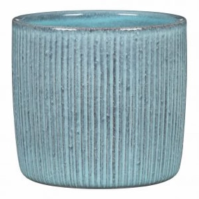 Blue Indoor Ceramic Cover Pot Lagoon (909) tall green plant  