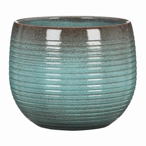 Blue Indoor Ceramic Cover Pot Wild Sea (744) tall green plant  