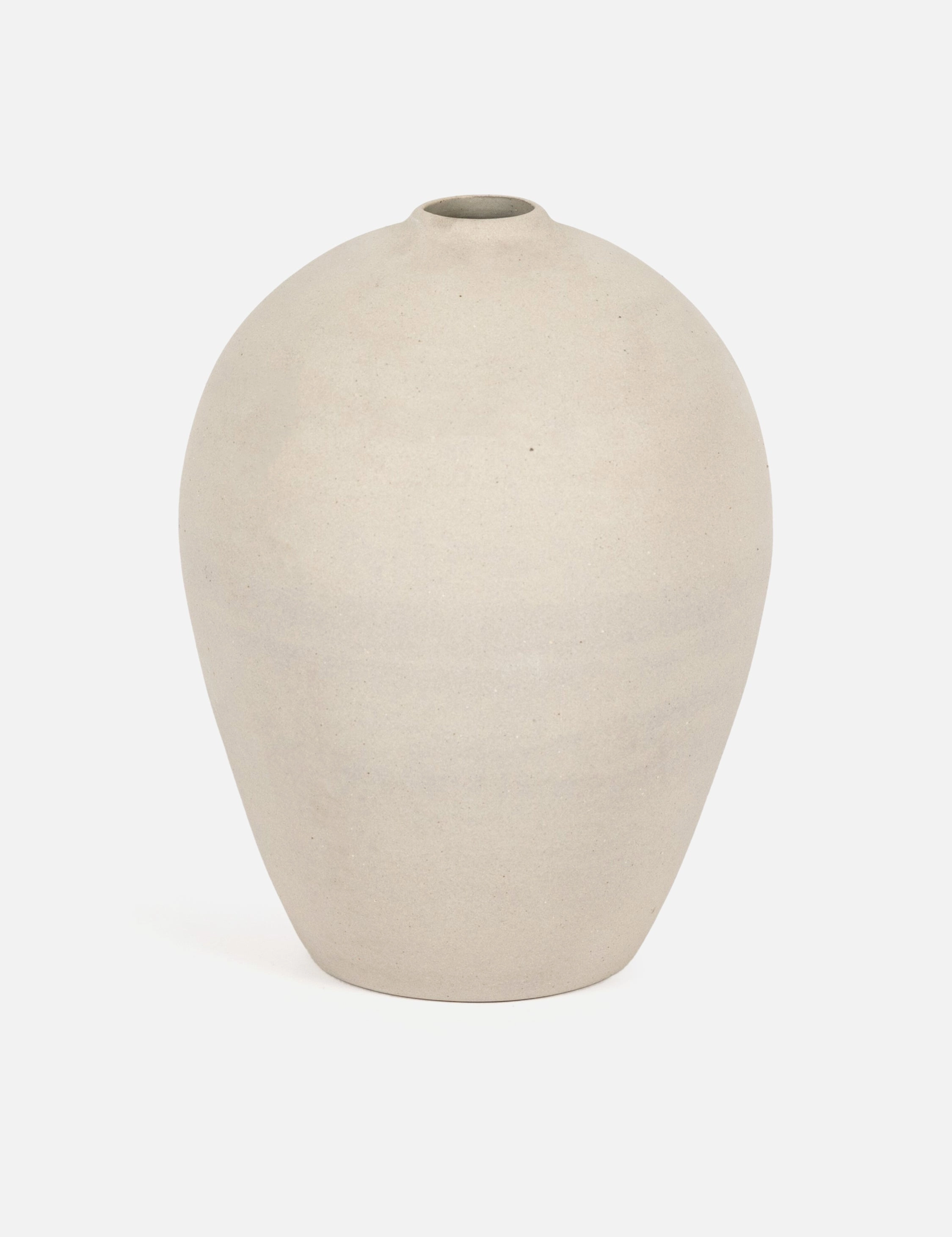 Boland Vase mini ornamental plant  
