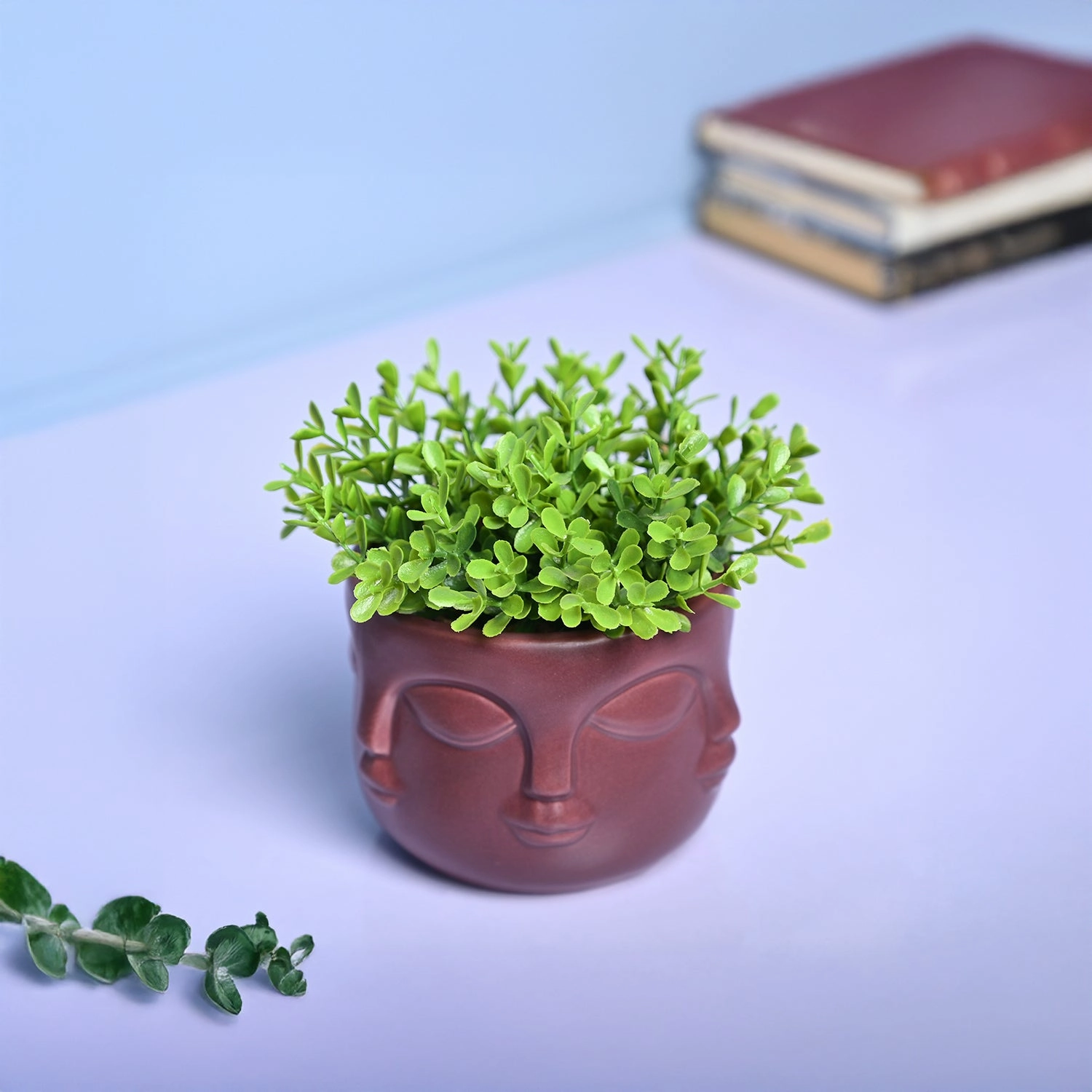 Bold Red Ceramic Face Vase dried green plant  