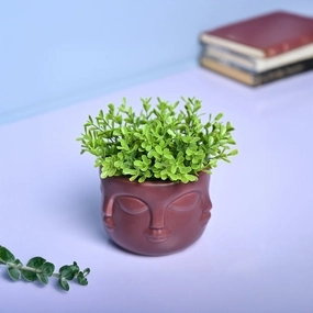 Bold Red Ceramic Face Vase dried green plant  