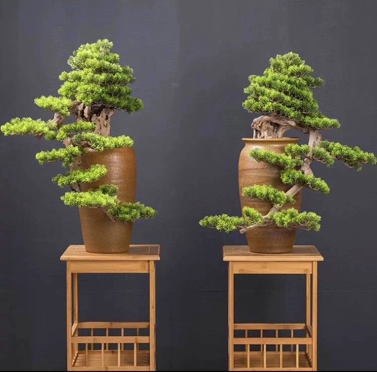 BON001 Artificial Bonsai High Quality 70cm Tall (Elephant Trunk Style)