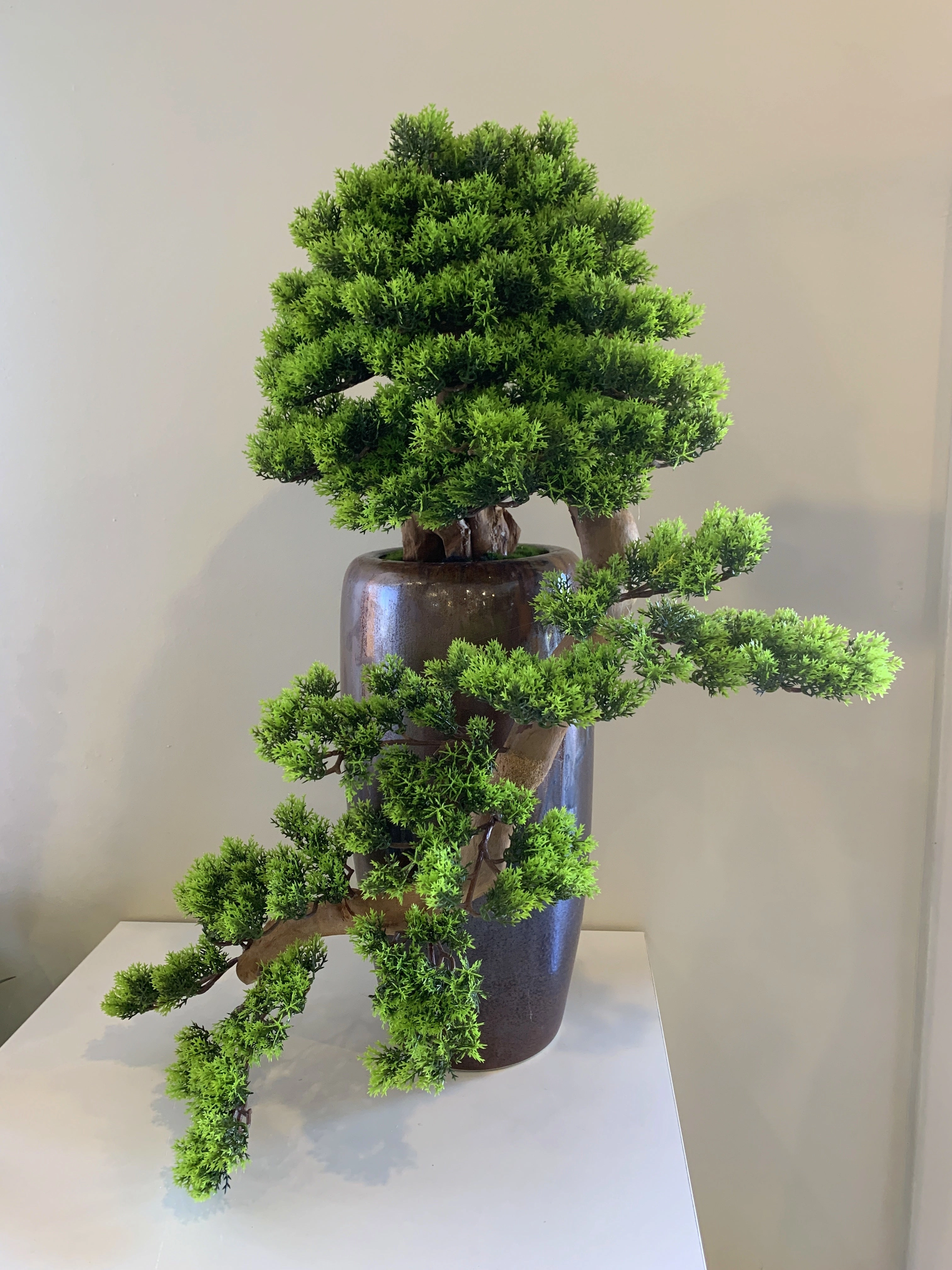 BON001 Artificial Bonsai High Quality 70cm Tall (Elephant Trunk Style)
