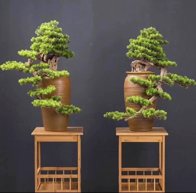 BON001 Artificial Bonsai High Quality 70cm Tall (Elephant Trunk Style)