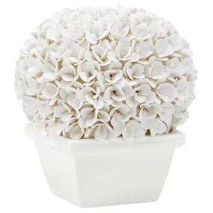 Boston Round Boxwood Topiary in Blanc de China dried flowers  
