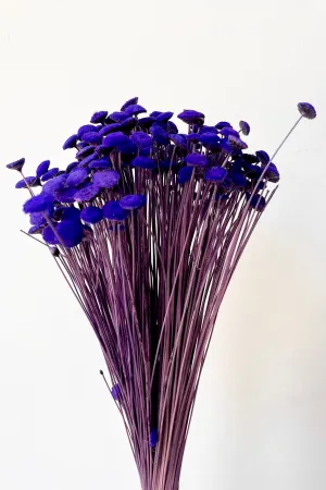 Botao Violet Color Preserved Bunch indoor houseplants  