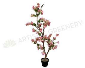Bougainvillea Tree 130cm Pink sun perennial  