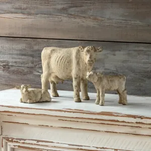 Bovine Family Set dried flowers  