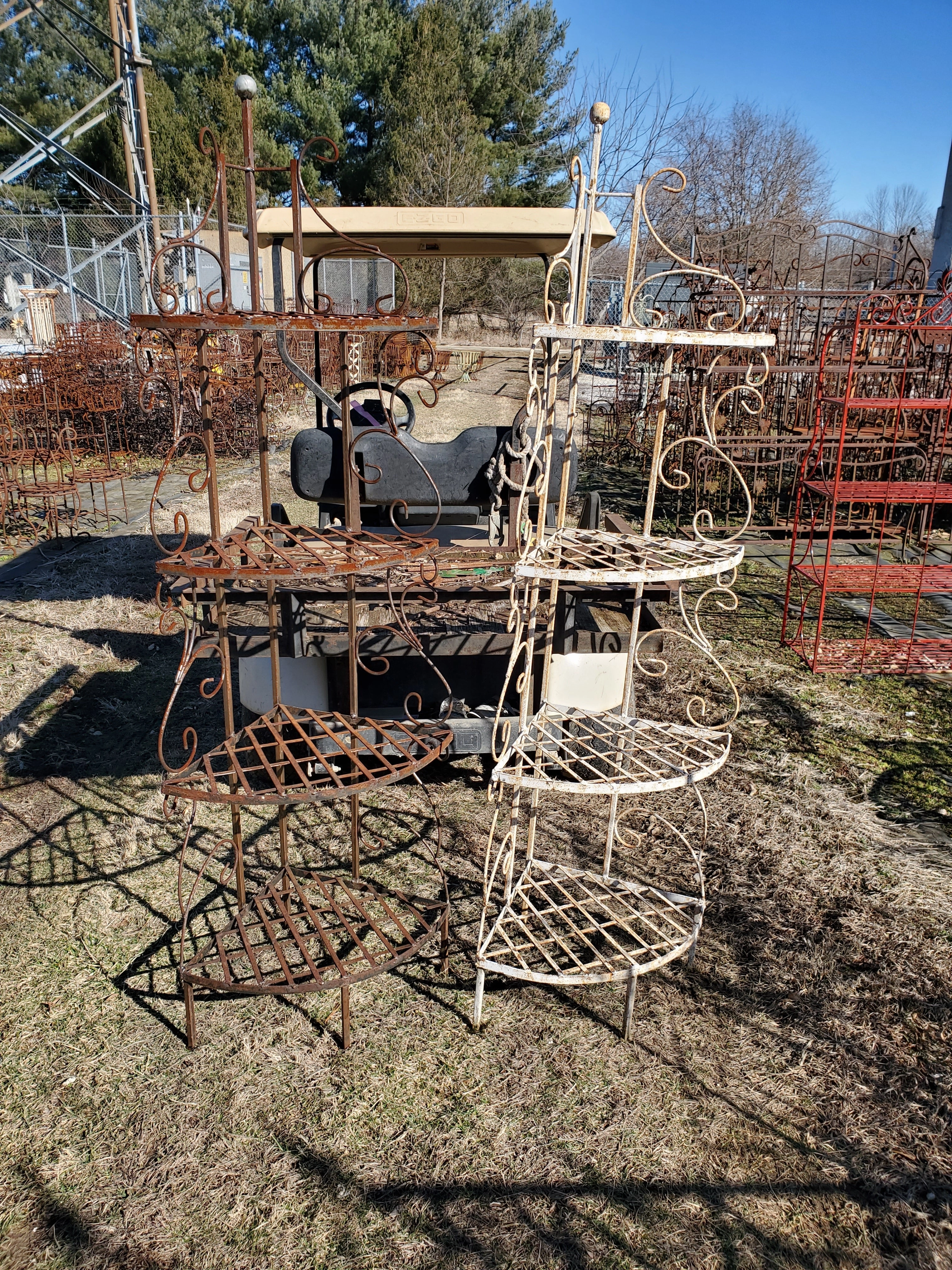 BR277 decorative plants  