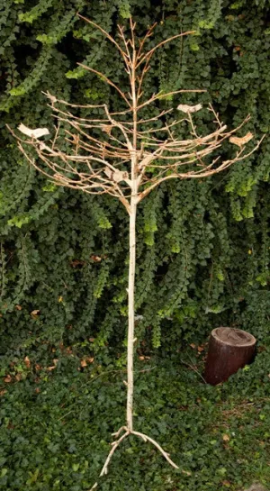 Branch Tree with Birds Just Branch On Top decorative plants  