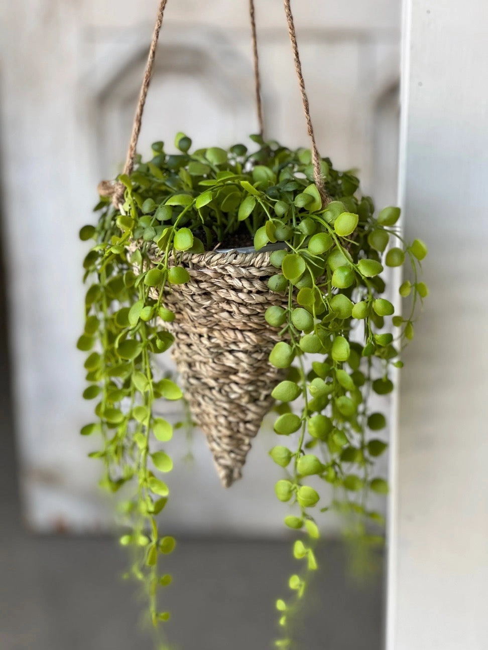 Brentwood Hanging Basket