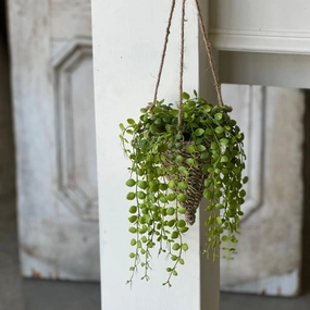 Brentwood Hanging Basket xl flower pot  