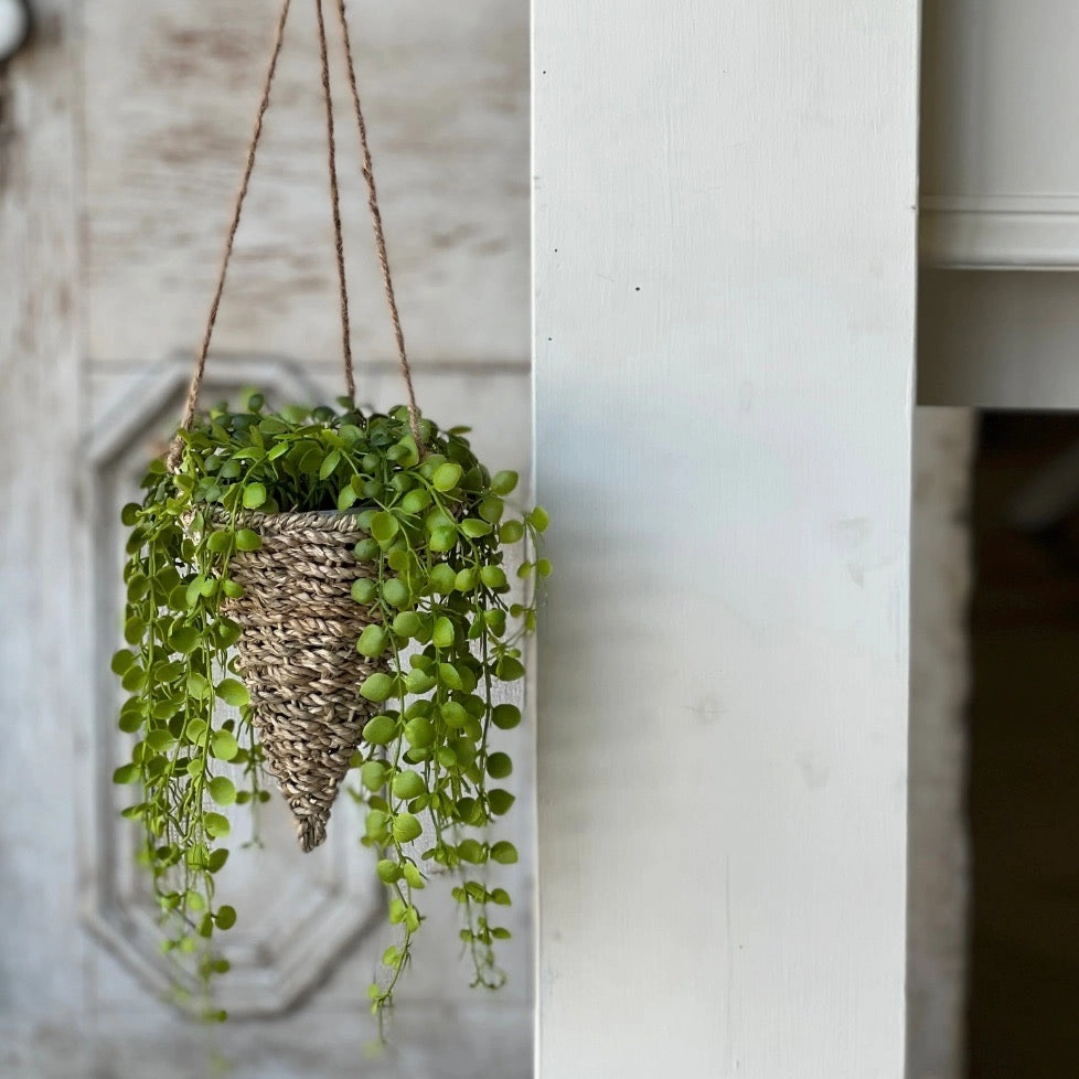Brentwood Hanging Basket