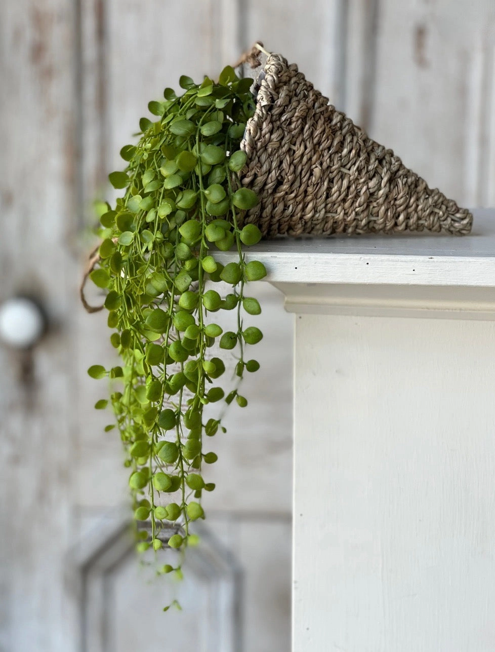Brentwood Hanging Basket