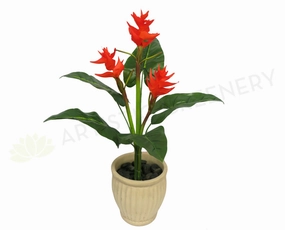 BROMELIADSET99  Bromeliad Plant Set 90cm - Custom Made indoor plant stand  
